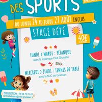 Stage d’été école municipale des sports
