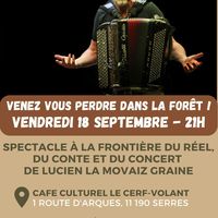 Venez vous perdre dans la forêt !