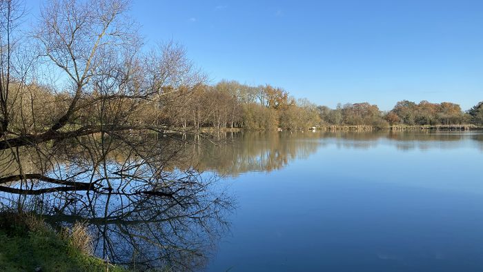 Balade de la biodiversité "Découvrir les oiseaux de l'étang du plessis"