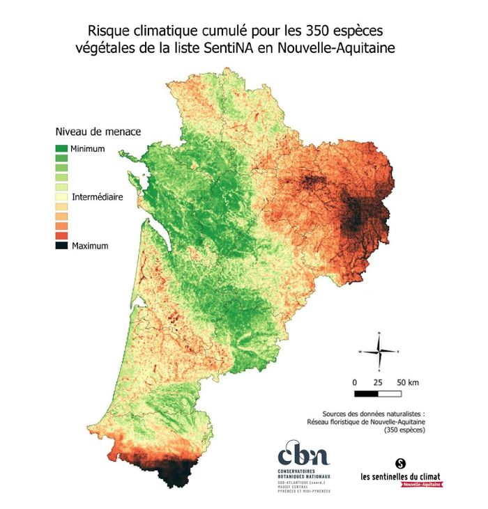 Webinaire - Flore et climat : les espèces menacées en Nouvelle-Aquitaine