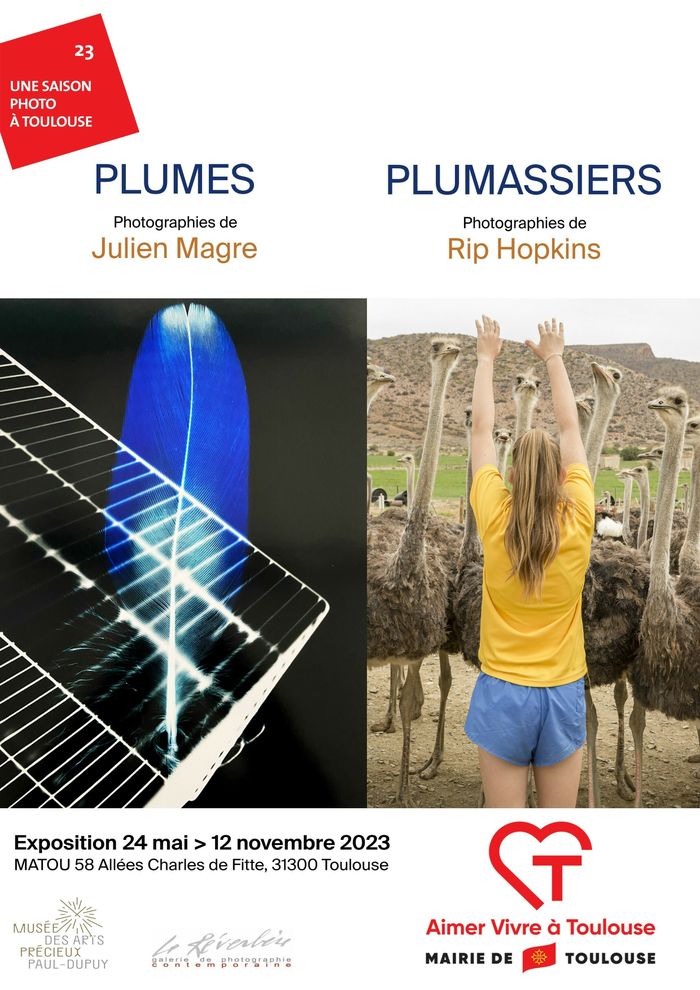 Visite commentée des expositions de Julien Magre : « Plumes » et de Rip Hopkins : « Plumassiers »