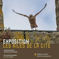 Exposition : les ailes de la cité