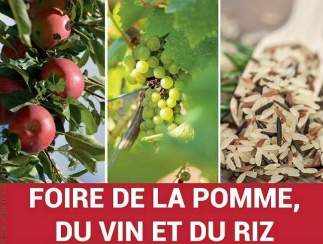 26ème foire de la pomme du vin et du riz