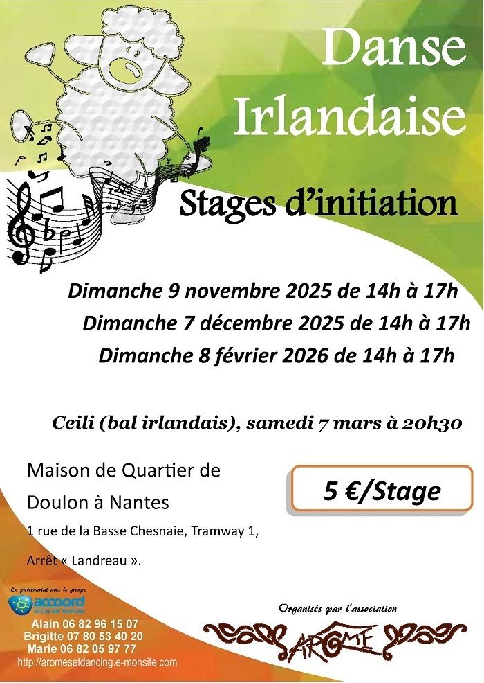 Stages d'initiation aux danses irlandaises