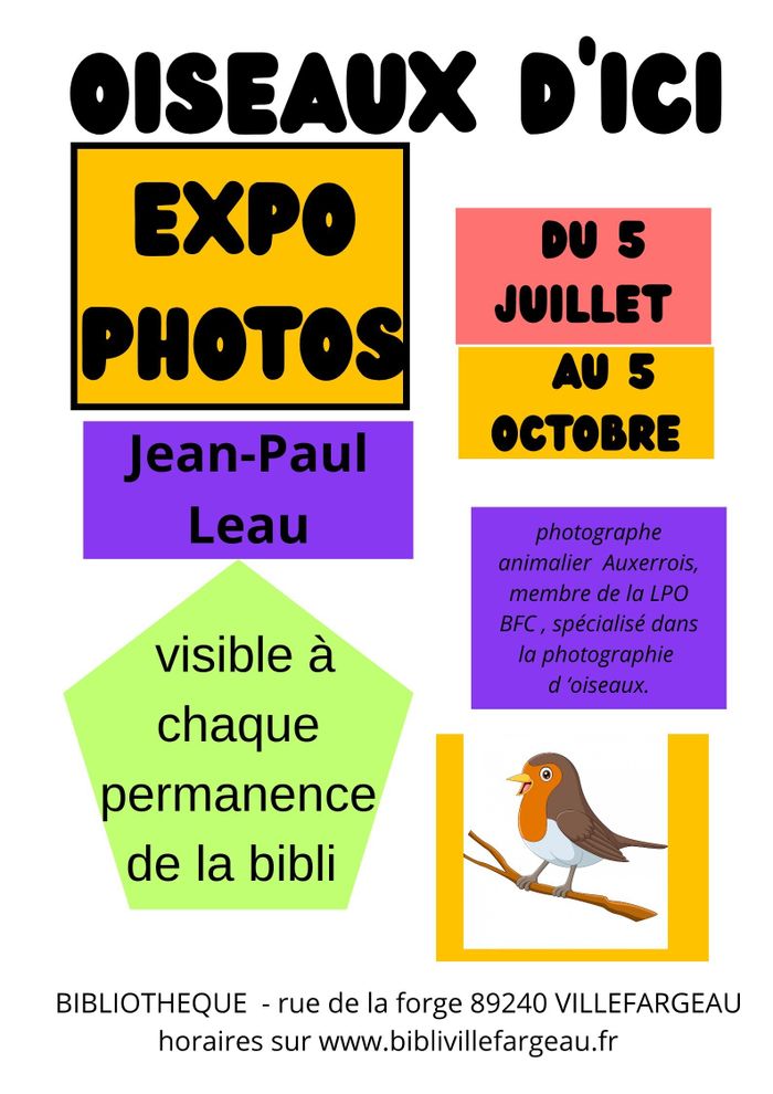 Découverte de PHOTOS D'OISEAUX D'ICI - Jean Paul LEAU