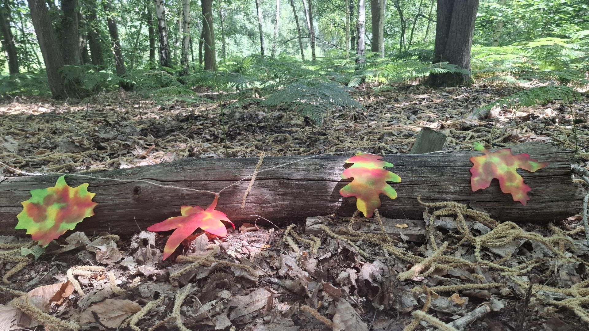 Dernières places | Guirlande de feuilles d’automne et d’encre