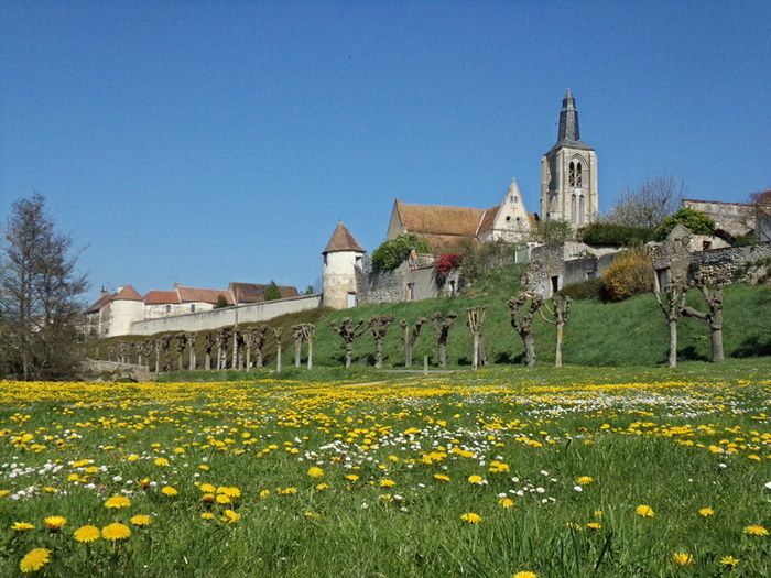 Arrière plan flou de l'image
