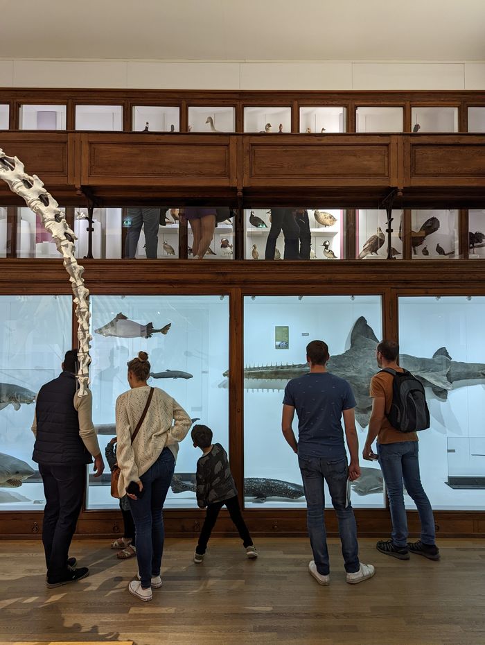 Visites animées en famille : Derniers tours de piste