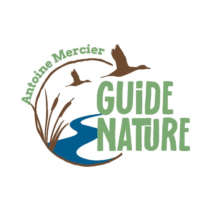 Marais salants et plantes comestibles