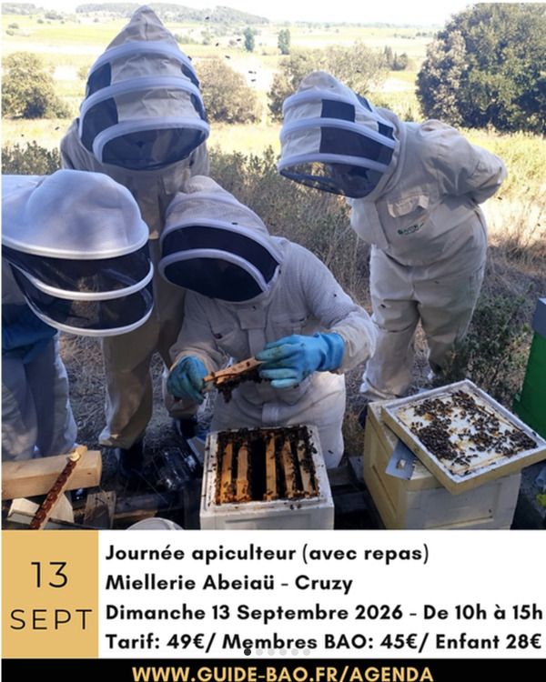 Immersion au pays des abeilles