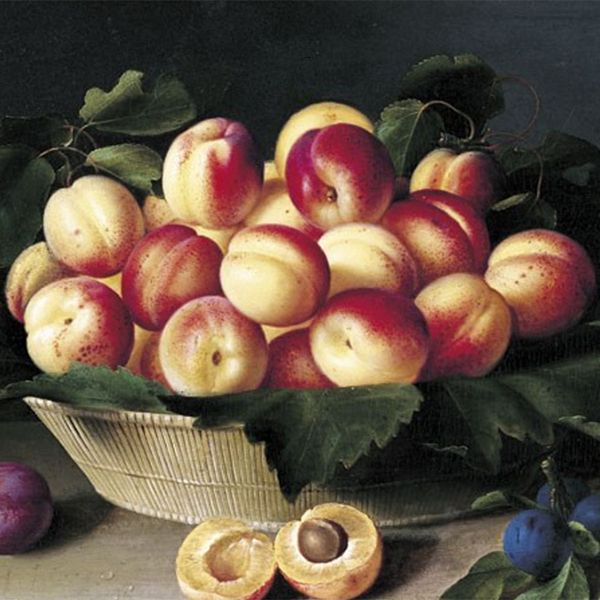 Visite guidée "Petits théâtres de l’intime : natures mortes et scènes de genre"