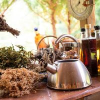 Atelier phytothérapie – seniors