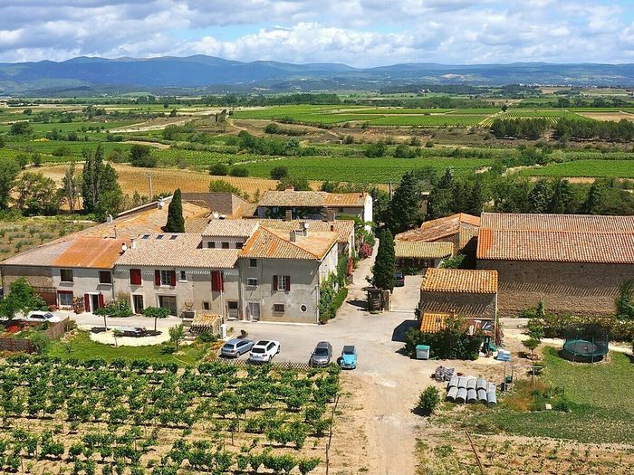 Balade vigneronne - Domaine des Homs