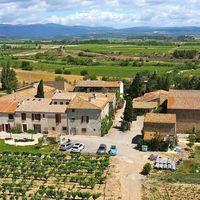 Balade vigneronne - Domaine des Homs