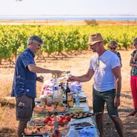 Balade vigneronne - INRAE Pech Rouge