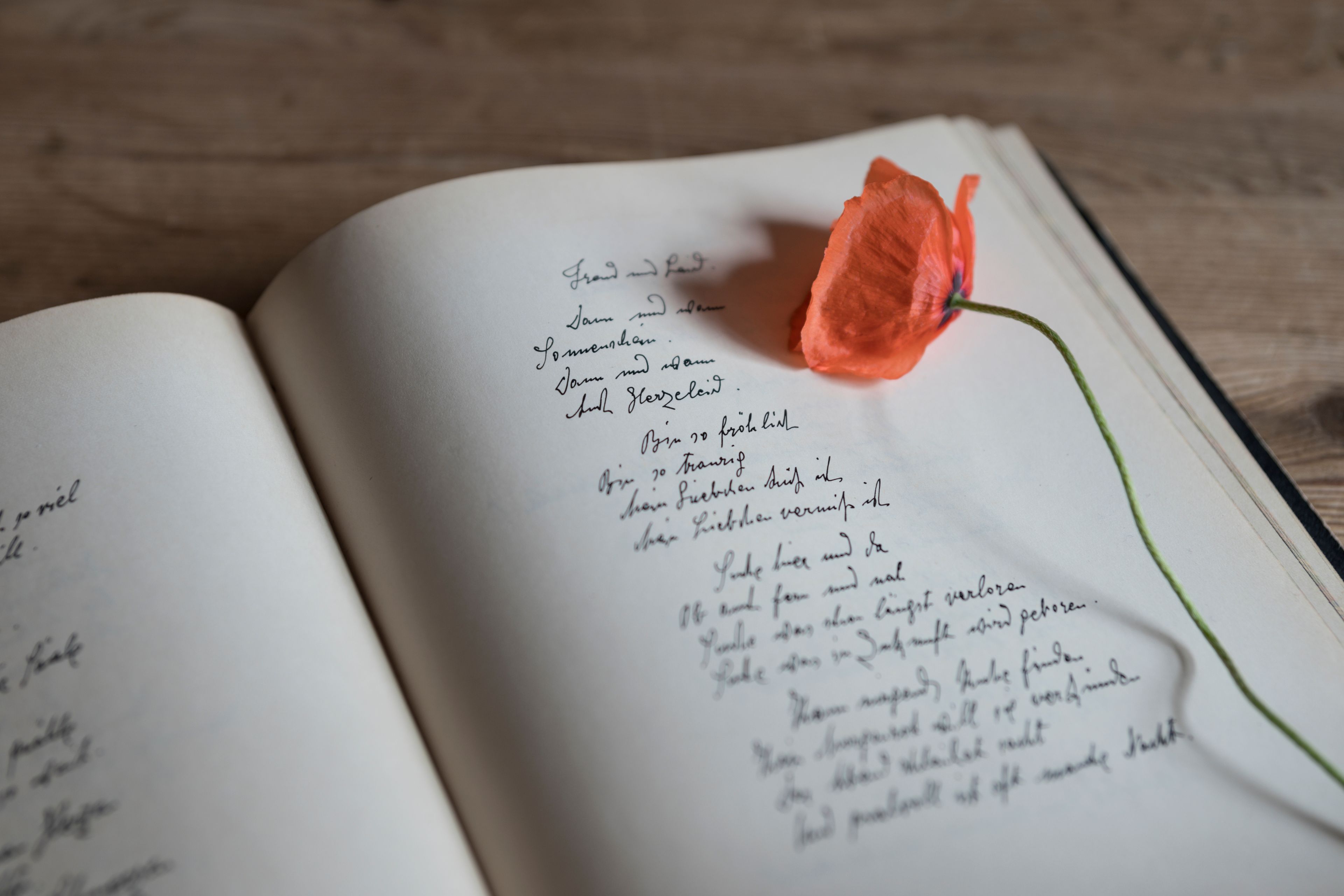 Dictée avec Mme Dourthe Rose-Marie