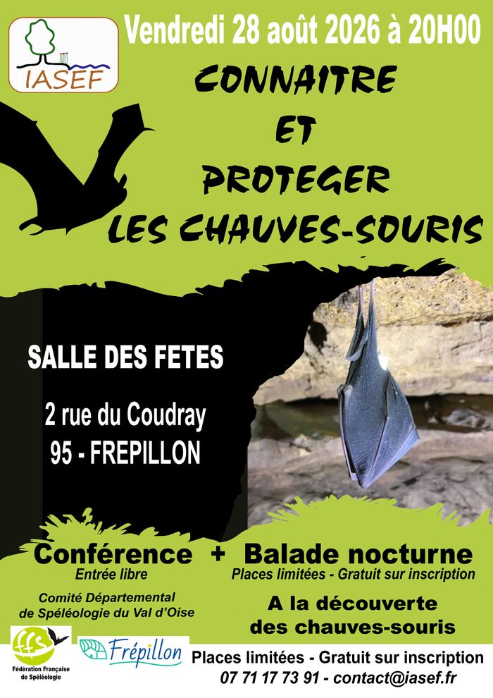 Sortie à la découverte des chauves-souris