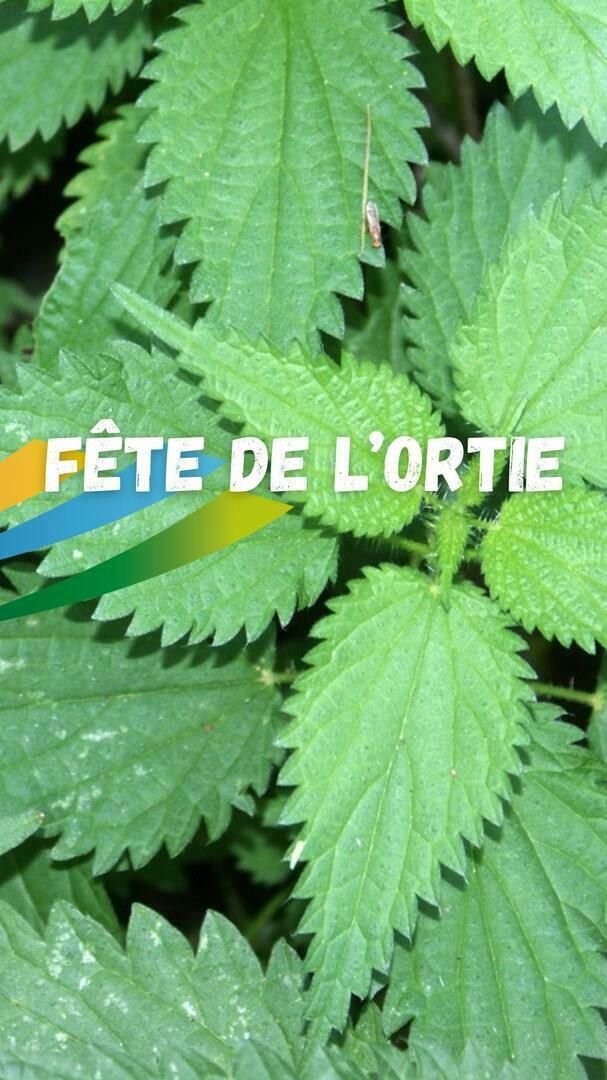 Fête de l’ortie - Ateliers et dégustation