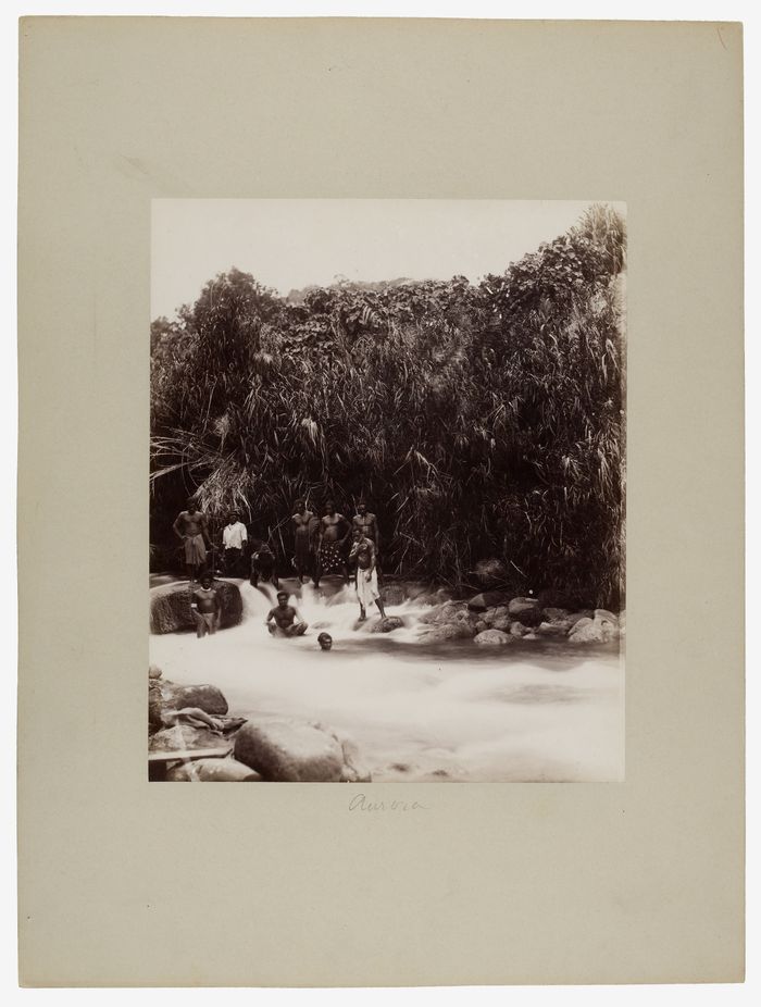 Vanuatu, archipel sous tension. Premières photographies (1885-1895) dans les collections du musée du quai Branly - Jacques Chirac
