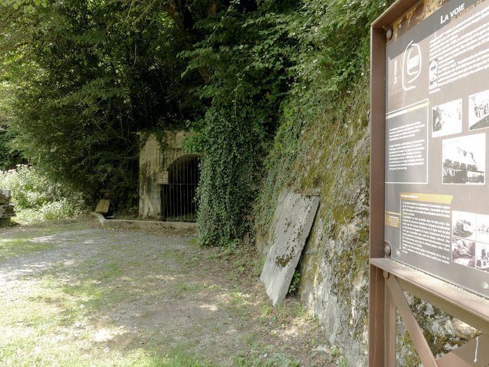 Visite commentée : Chiroptères des mines de Baburet