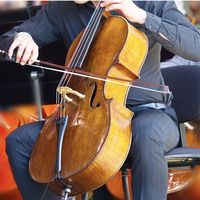 Concert de violoncelle - Ecole de musique des Albères