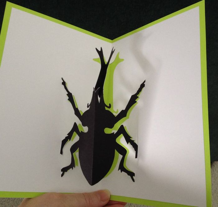 Affiche — Lectures et atelier "Insectes pop-up"