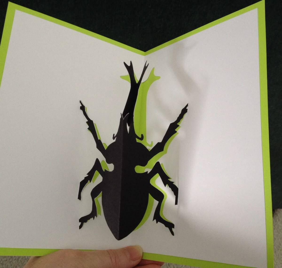 Lectures et atelier "Insectes pop-up"