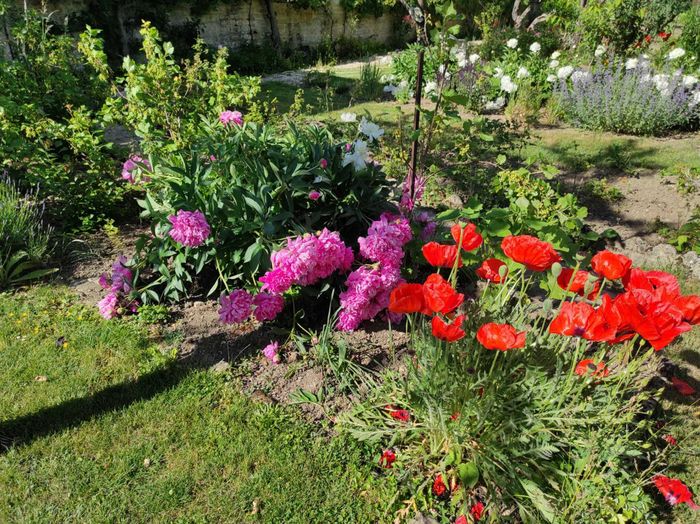 Découverte libre et exceptionnelle d'un jardin privé