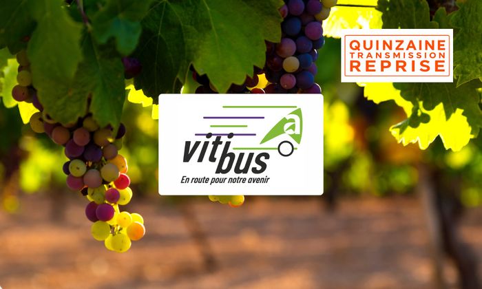 Le Viti’bus, une journée pour donner vie à votre projet d'installation !