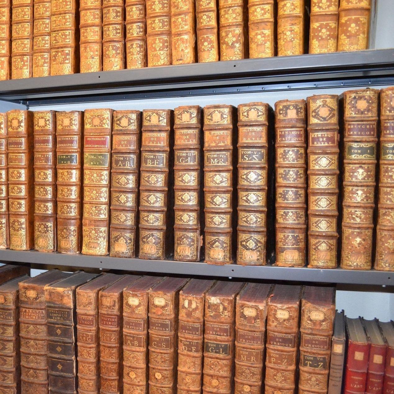 Visites des réserves de la bibliothèque des Champs Libres