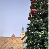 Concert de Noël proposé par la Cobla Mil.lénaria