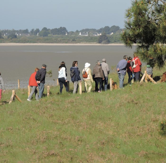 Les landes de Pen Bé