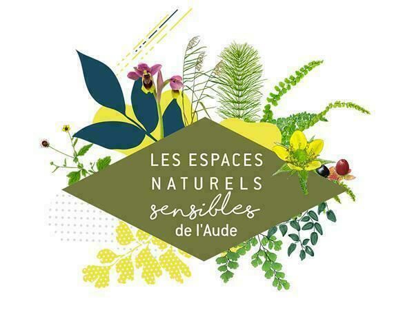 ENS - Les planeurs des montagnes