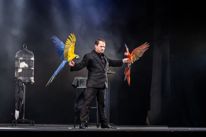 Dites le avec des plumes #2