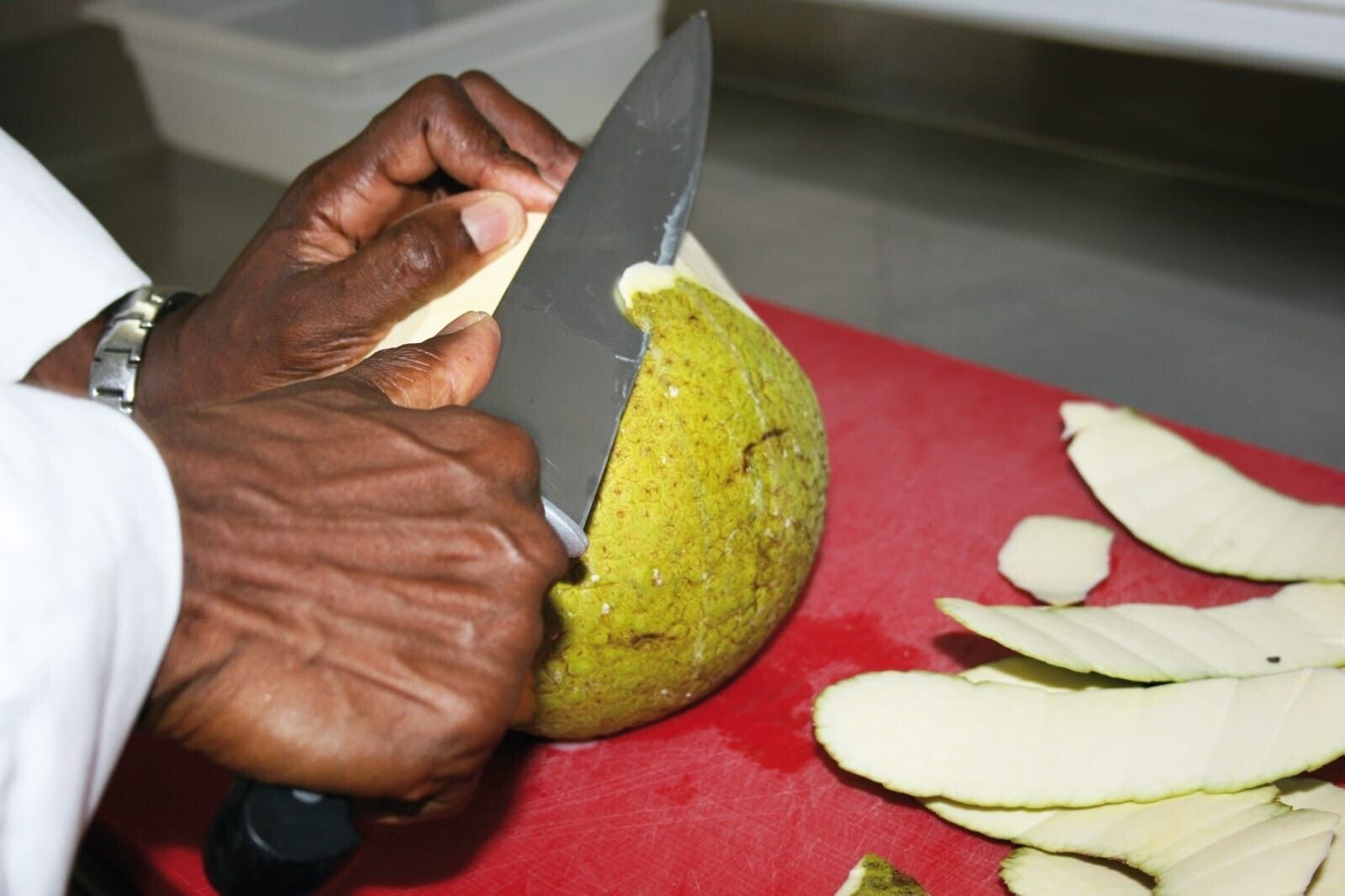 le Fruit à Pain dans tous ses états