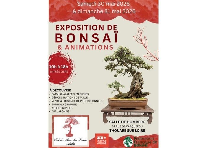 Exposition de Bonsaï