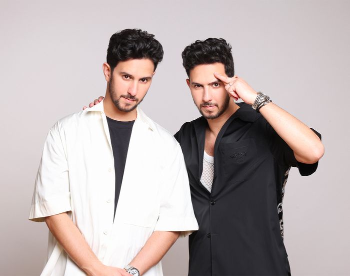 Les French Twins - Digital illusionists