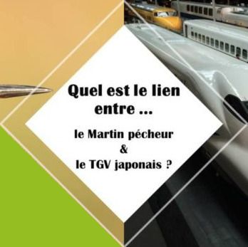 Conférence sur le biomimétisme
