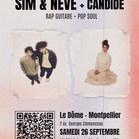 Concert à la Brasserie Le Dôme à Montpellier