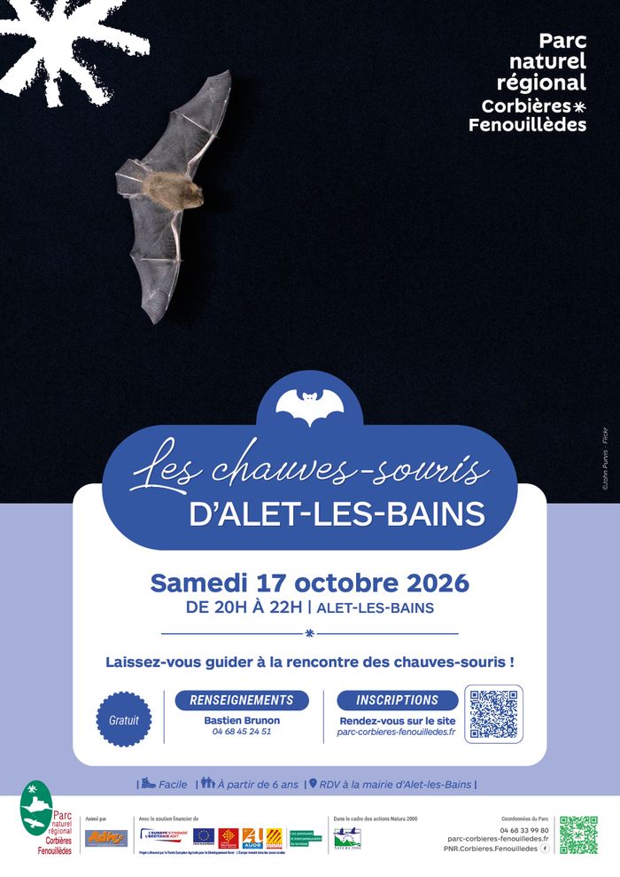 A la découverte des chauves-souris d'Alet