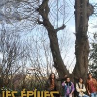 Les Epines - Tribute Led Zeppelin