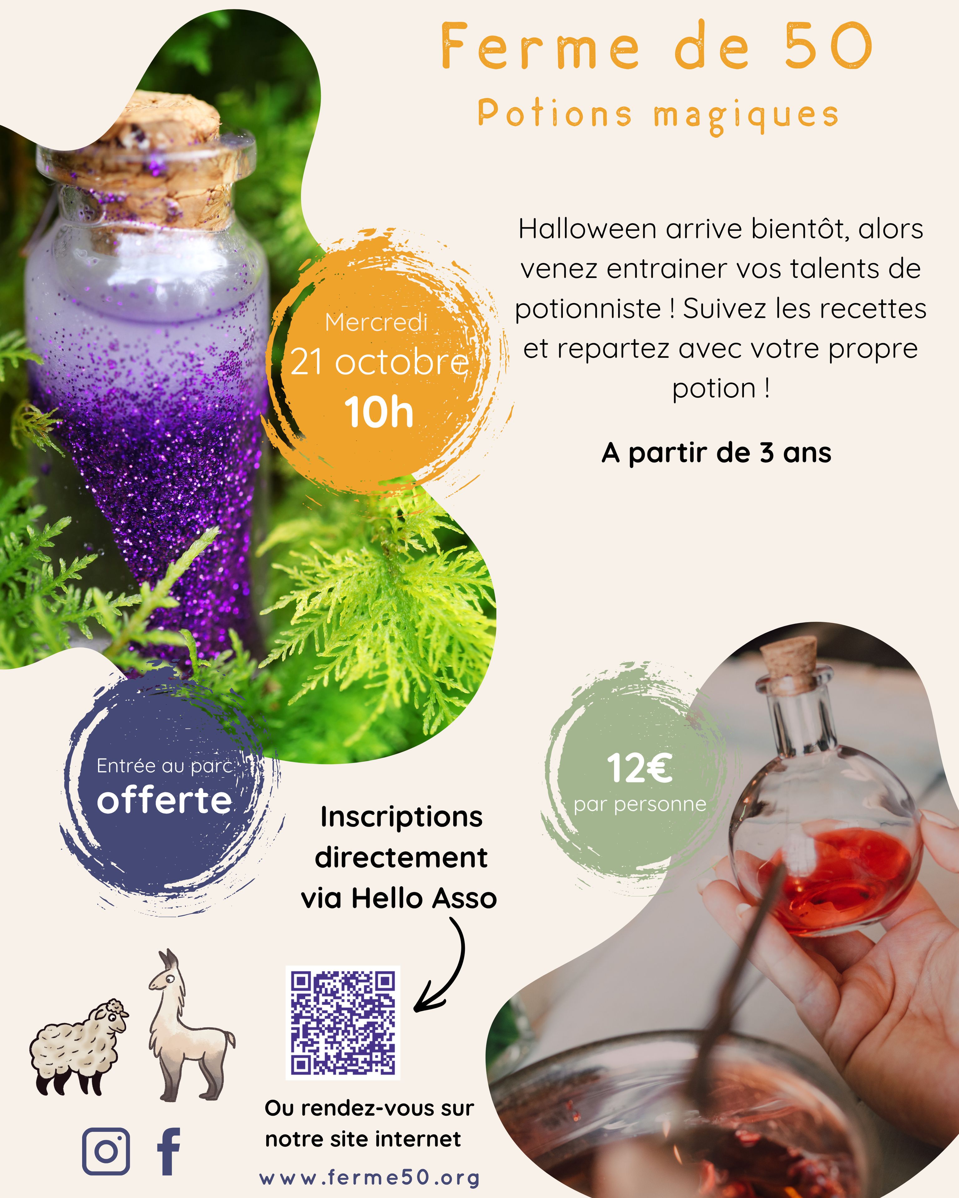 Family Workshops - Magic Potions