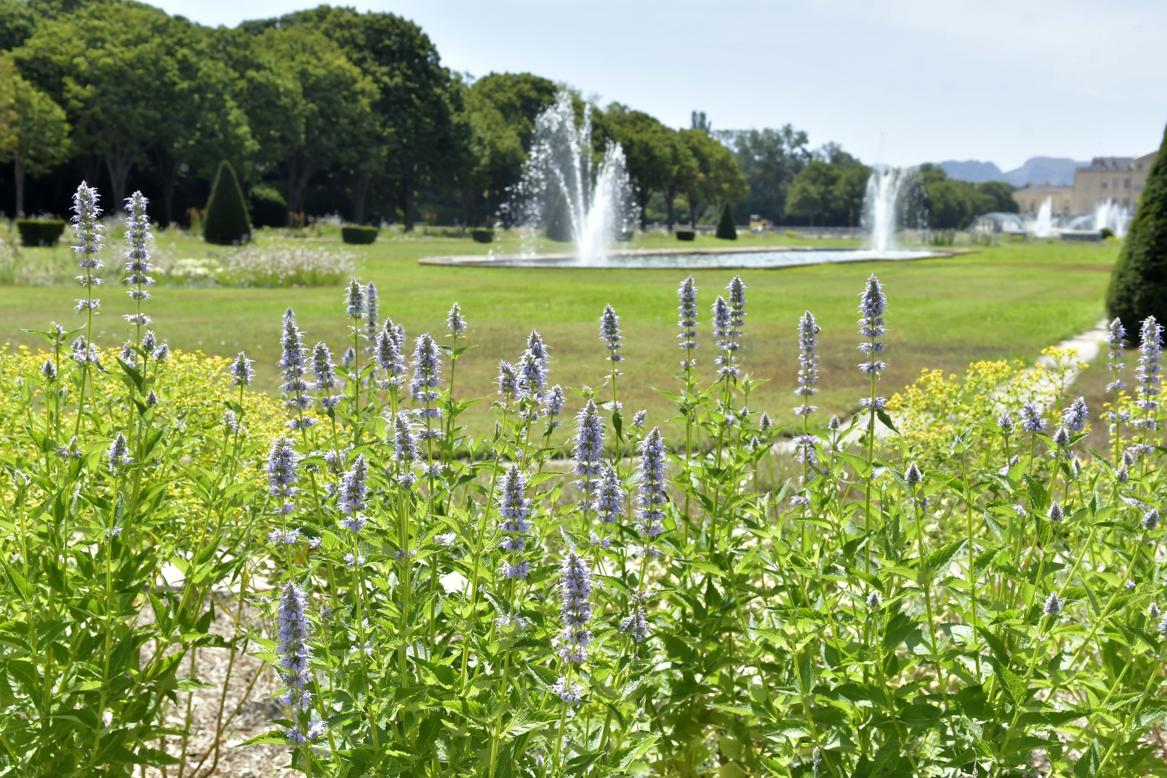 DU PARC DE LA MAGALONE AU PARC BORELY
Visite balade « Trame verte - Patrimoine végétal »