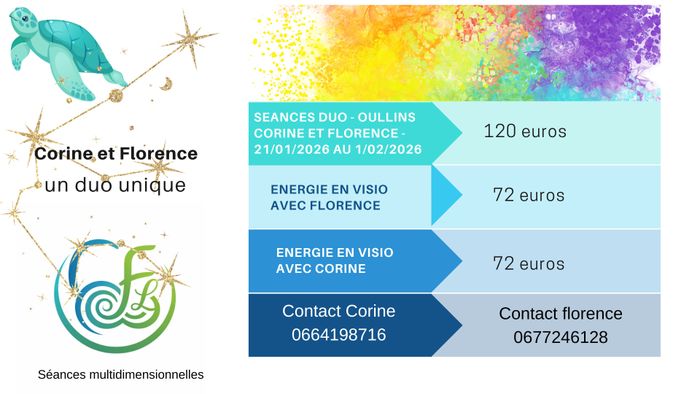 Visio - Séance énergétique en duo avec Corine