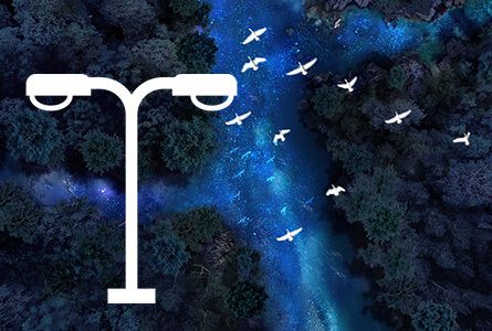 La nuit est belle | La trame noire, qu’est que c’est? 🔦