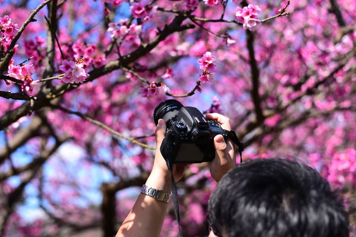 Atelier photographie de plante