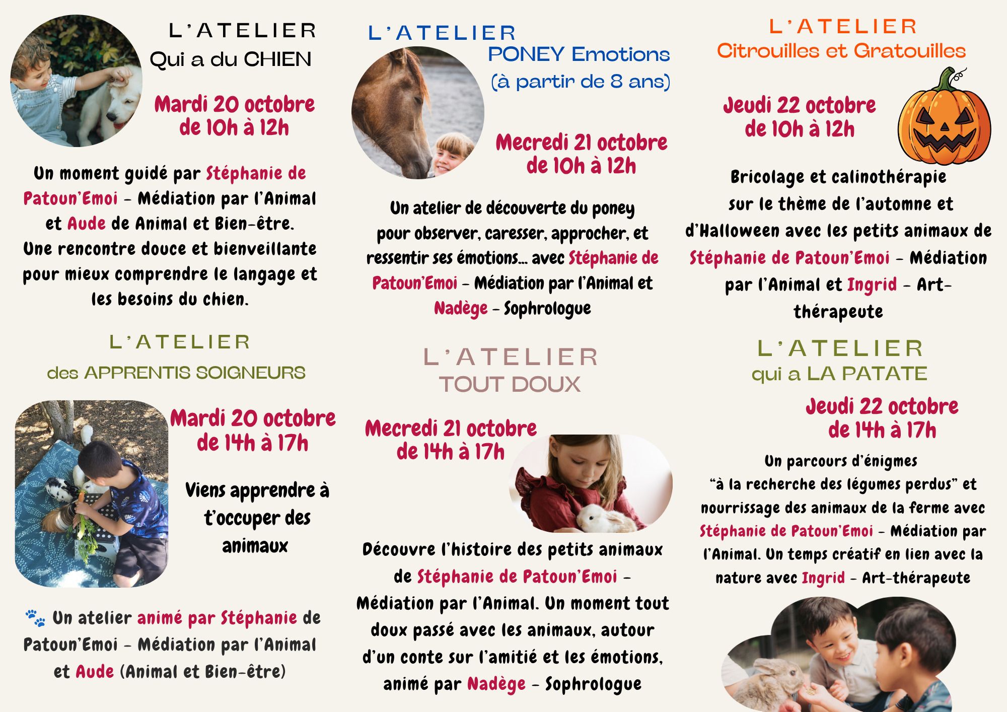 6 Ateliers autour de la nature et des animaux - Spécial Enfants & Ados