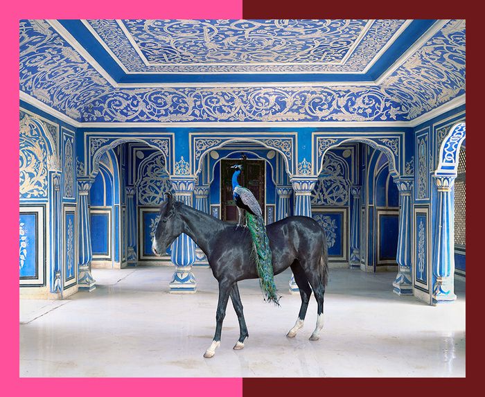 PhotoSaintGermain-Karen Knorr