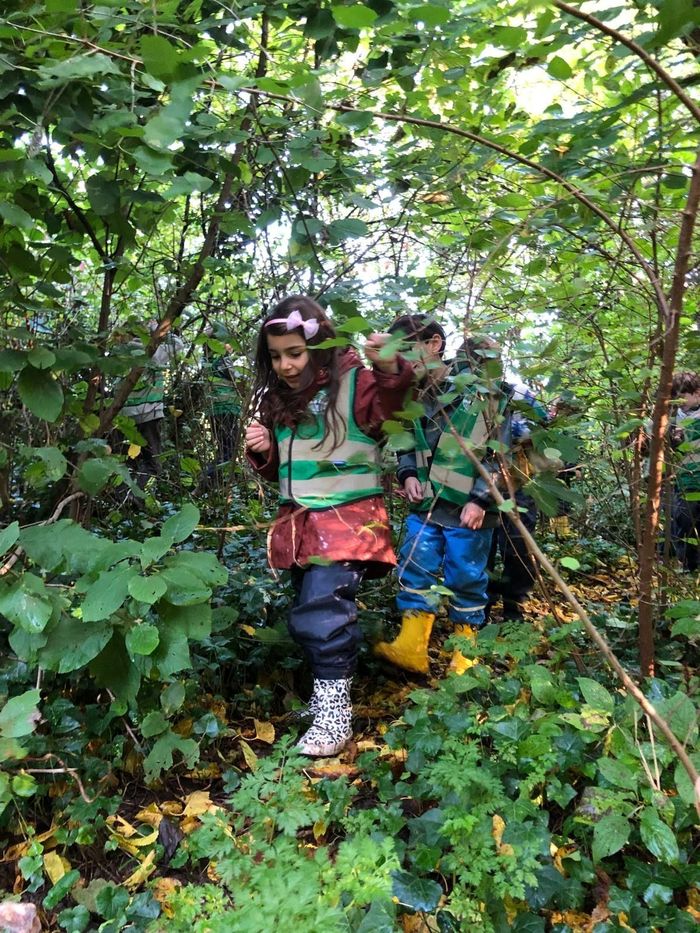Stage Nature & Montessori, Issy-les-Moulineaux - du 19 au 23/10/26