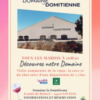 Visite du domaine La Domitienne